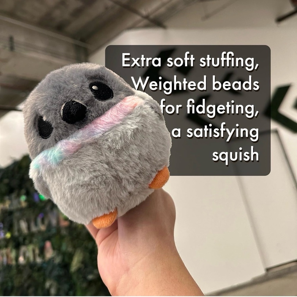 Pigeon Borb - Picture 3 of 3